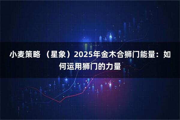 小麦策略 （星象）2025年金木合狮门能量：如何运用狮门的力量