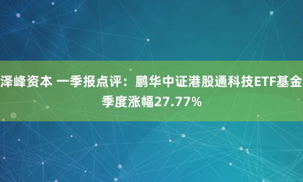 泽峰资本 一季报点评：鹏华中证港股通科技ETF基金季度涨幅27.77%