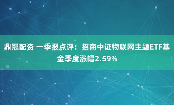 鼎冠配资 一季报点评：招商中证物联网主题ETF基金季度涨幅2.59%